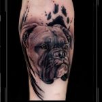 portret boxer hond dier arm trash.jpg